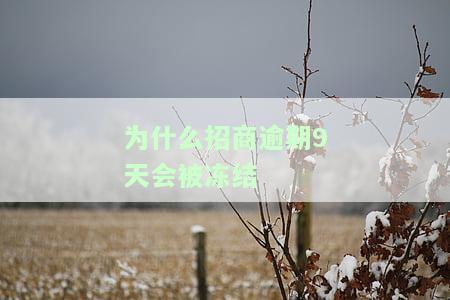 为什么招商逾期9天会被冻结账户，解密：招商逾期9天为何会导致账户被冻结？