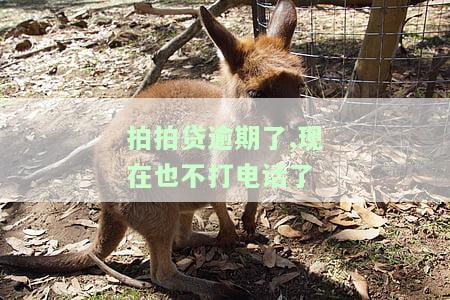 拍拍贷逾期了,现在也不打电话了吗，拍拍贷逾期未还，为何不再进行催收电话？