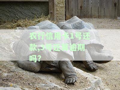 农行信用卡1号还款日，重要提醒：农行信用卡1号还款日临近，请注意还款时间
