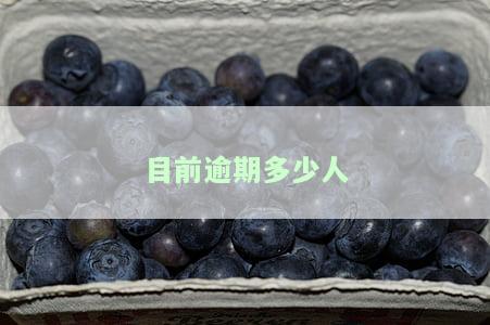 现在逾期人数，揭示逾期现象：探究当前逾期人数的真相
