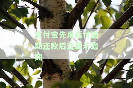 支付宝先用后付逾期是否会影响征信？欠款30天和逾期1个月的后果是什么？