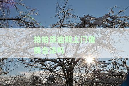 拍拍贷上门催款合法吗，解析拍拍贷上门催款的合法性