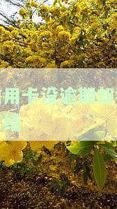 信用卡没逾期却被冻结怎么办，信用卡未逾期却遭冻结？如何解决这个问题？