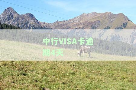 中行VISA卡逾期4天-中行逾期四天
