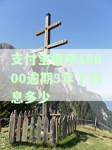 支付宝借呗逾期6000元三年了，逾期三年，支付宝借呗未还清6000元：影响及解决办法