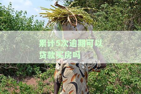 累计5次逾期可以贷款买房吗，多次逾期记录是否会影响您的房贷申请？