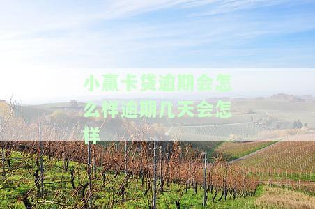 小赢卡贷逾期几天会暴力催收？上征信风险大