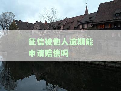 我的征信被别人搞贷款逾期了,我可以起诉他吗，如何处理因他人导致的征信逾期问题：能否提起诉讼？