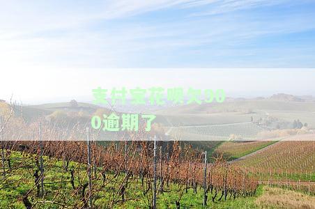 支付宝花呗欠900逾期了