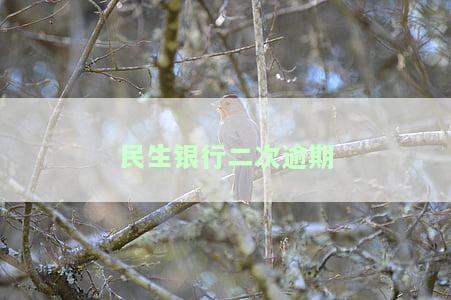 民生银行二次逾期发信息要求偿还全部欠款，民生银行再次催收：逾期未还，需偿还全部欠款！