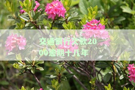 交通银行逾期5000块钱不到银行会起诉吗，逾期5000元未还，交通银行是否会采取法律手？