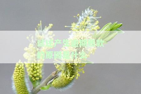 试述产生逾期账款的原因是什么意思，探究逾期账款产生的原因