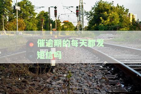 催逾期的每天都发短信吗怎么办，每天被催逾期短信困扰？教你如何应对