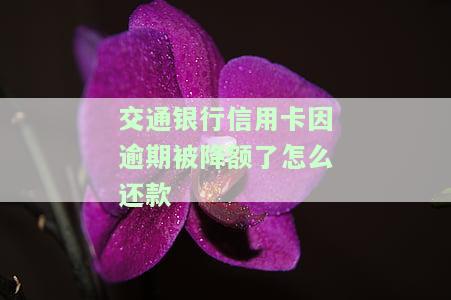 交通银行信用卡因逾期被降额了怎么还款-交通银行信用卡因逾期被降额了怎么还款呢