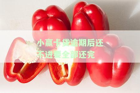 小银卡贷逾期还了一部分进去，是否还会遭遇暴力催收？