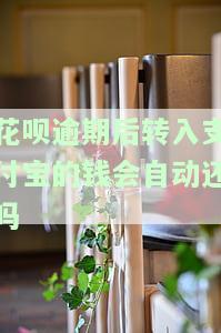 花呗逾期后转入支付宝的钱会自动还吗怎么办，花呗逾期后，转入支付宝的钱会自动还款吗？解决办法大公开！