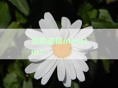 贷款逾期了暂时还不上？别慌！银行、网贷、企业、抵押、信用、网络贷款解决方案全在这里！
