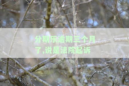分期乐逾期三个月了,说是法院起诉