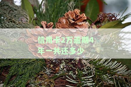 信用卡2万逾期4年一共还多少利息，信用卡逾期4年，欠款2万，需要偿还多少利息？