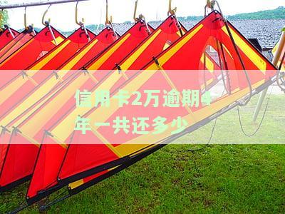 信用卡2万逾期2年，要还多少本金和利息？能否协商解决？