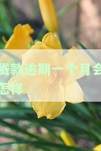 贷款逾期一个月会怎样