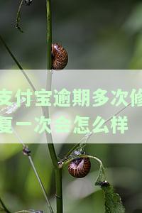 支付宝逾期多次修复一次会怎么样-支付宝逾期多次修复一次会怎么样吗
