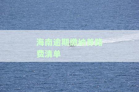 海南养路费网上缴费流程、平台及罚款规定全解析