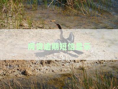 房贷逾期短信显示欠款，房贷逾期，如何解决欠款问题？