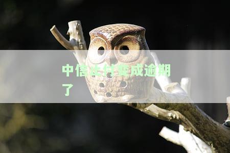 中信银行卡止付严重吗？如何解除及解决？原因与处理方法全解析