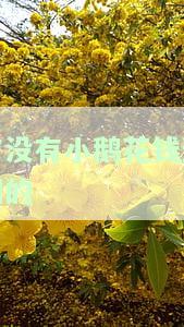 小鹅花钱逾期后果，当心！小鹅花钱逾期可能带来的严重后果