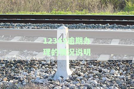 如何撰写12345逾期办理情况说明：详细步骤与例