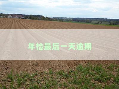 机动车年检最后一天没办完，错过机动车年检最后一天？怎么办？