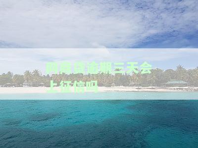 网商贷逾期三天会上征信吗，【热点关注】网商贷逾期三天是否会影响个人征信记录？