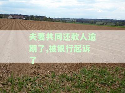 夫妻共同贷款逾期：影响、上征信、被法院冻结、双方黑户风险、银行卡冻结及展期处理方式