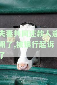 夫妻共同借贷逾期怎么办？处理方法与影响解析