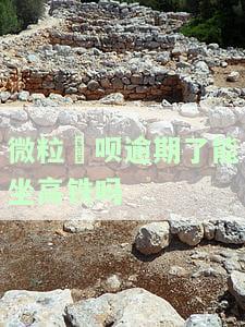 逾期了微粒贷可以借钱吗，逾期的微粒贷，是否还能借款？