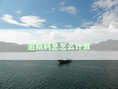 360逾期利息怎么计算，详细解析：如何计算360贷款的逾期利息？