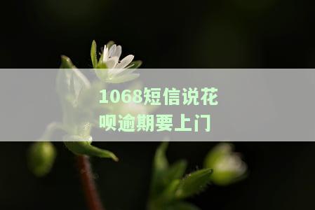 1068短信说花呗逾期要上门？真的吗？