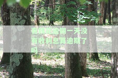 有钱花逾期一天没有收利息算逾期了吗？是真的吗？会上征信吗？会有哪些后果？