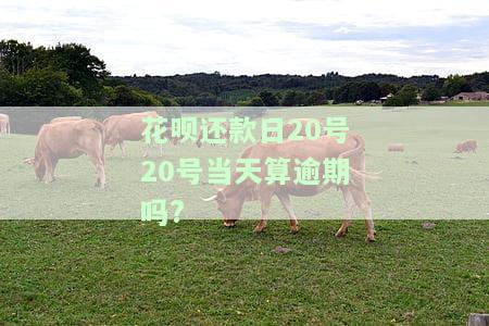 花呗还款日20号20号当天算逾期吗为什么，关于花呗还款日的疑问：20号当天还算逾期吗？原因解析