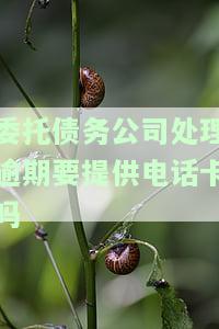 委托债务公司解决，专业处理：委托债务公司解决财务困境