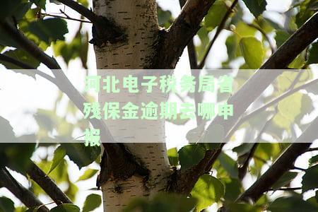电子税务局残保金申报表怎么打印，如何在电子税务局中打印残保金申报表？