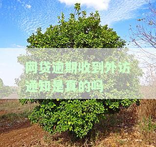 网贷逾期收到走访通知短信，网贷逾期警示：你已触发银行走访通知，需尽快处理