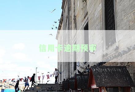 信用卡逾期预审怎么办，信用卡逾期预审应对策略