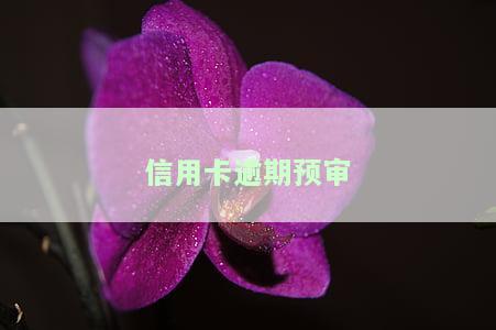 有逾期信用卡初审过了，恭喜！您已通过信用卡初审，但请注意及时偿还逾期欠款