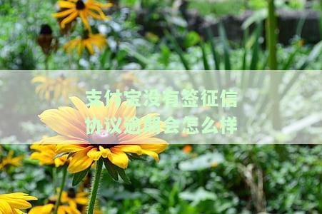 支付宝没有签征信协议逾期会怎么样吗，支付宝未签订征信协议，逾期会产生哪些后果？