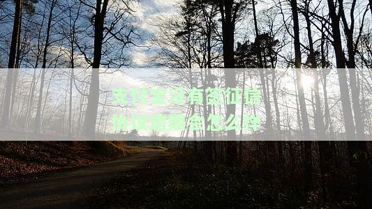支付宝没有上征信可以不还吗，支付宝未上征信，欠款可以不还吗？