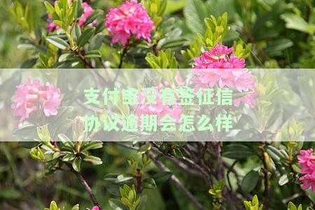 支付宝未逾期上征信怎么解决，如何处理未逾期的支付宝记录出现在个人征信报告中？