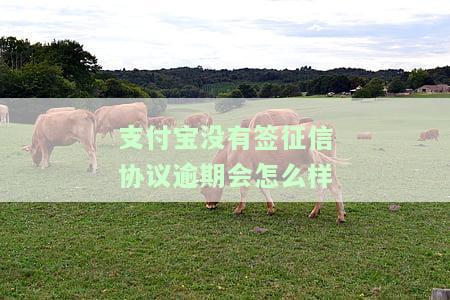 支付宝没有逾期会有影响吗？是否会影响安全和上征信？请看解答