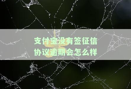 支付宝欠款没有逾期会在征信上体现吗，查询个人信用报告：支付宝未逾期的欠款是否会显示在征信中？